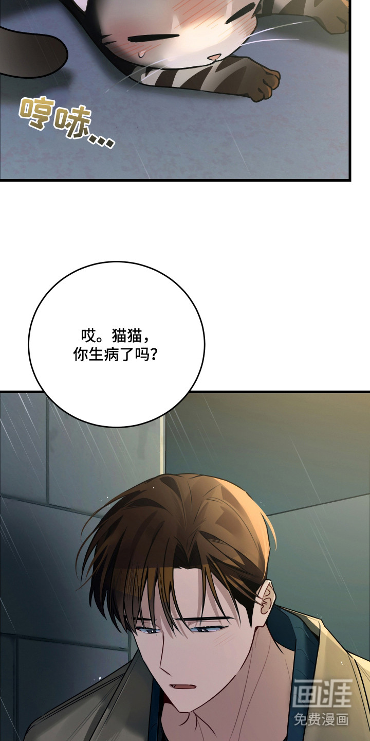 第8话：第8章：捡回家预览分镜