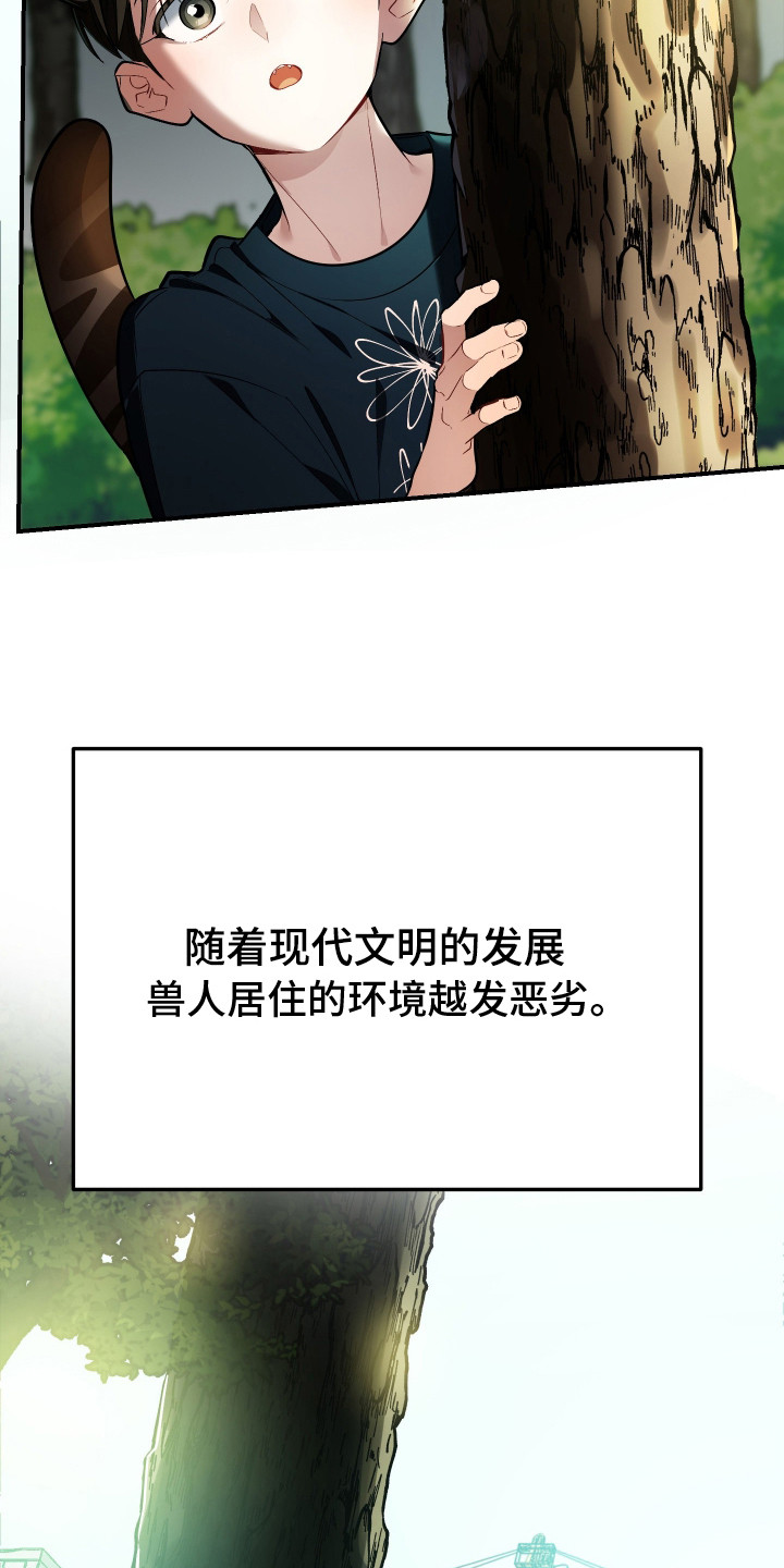 第2话：第2章：秘密任务预览分镜