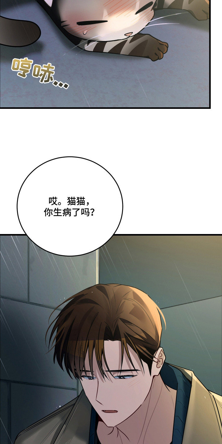 第8话：第8章：捡回家预览分镜
