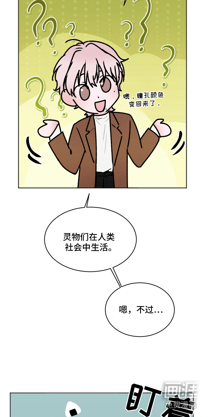 第8话：第8章：喜欢的类型预览分镜