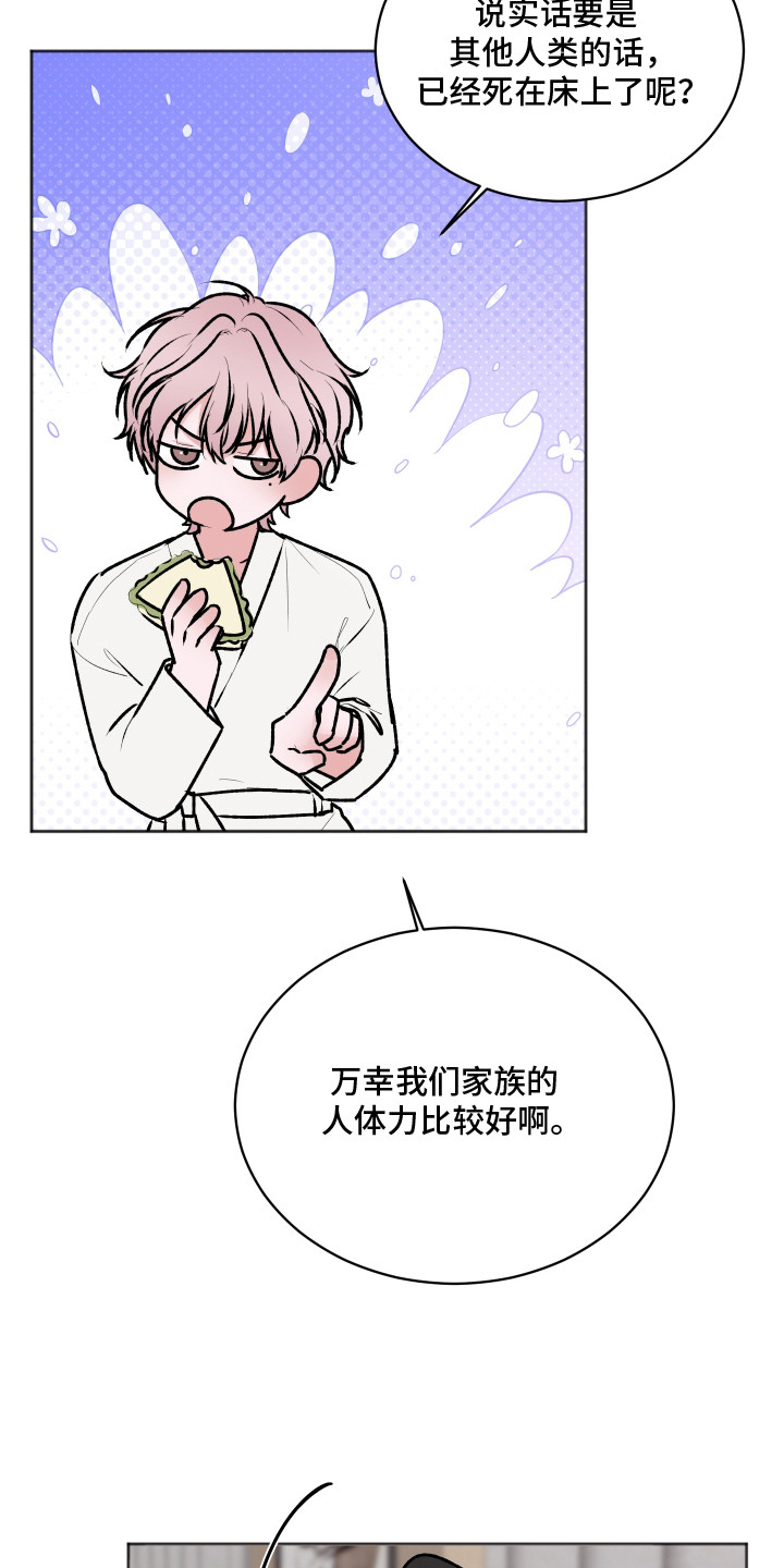 第14话：第14章：千岁生日预览分镜