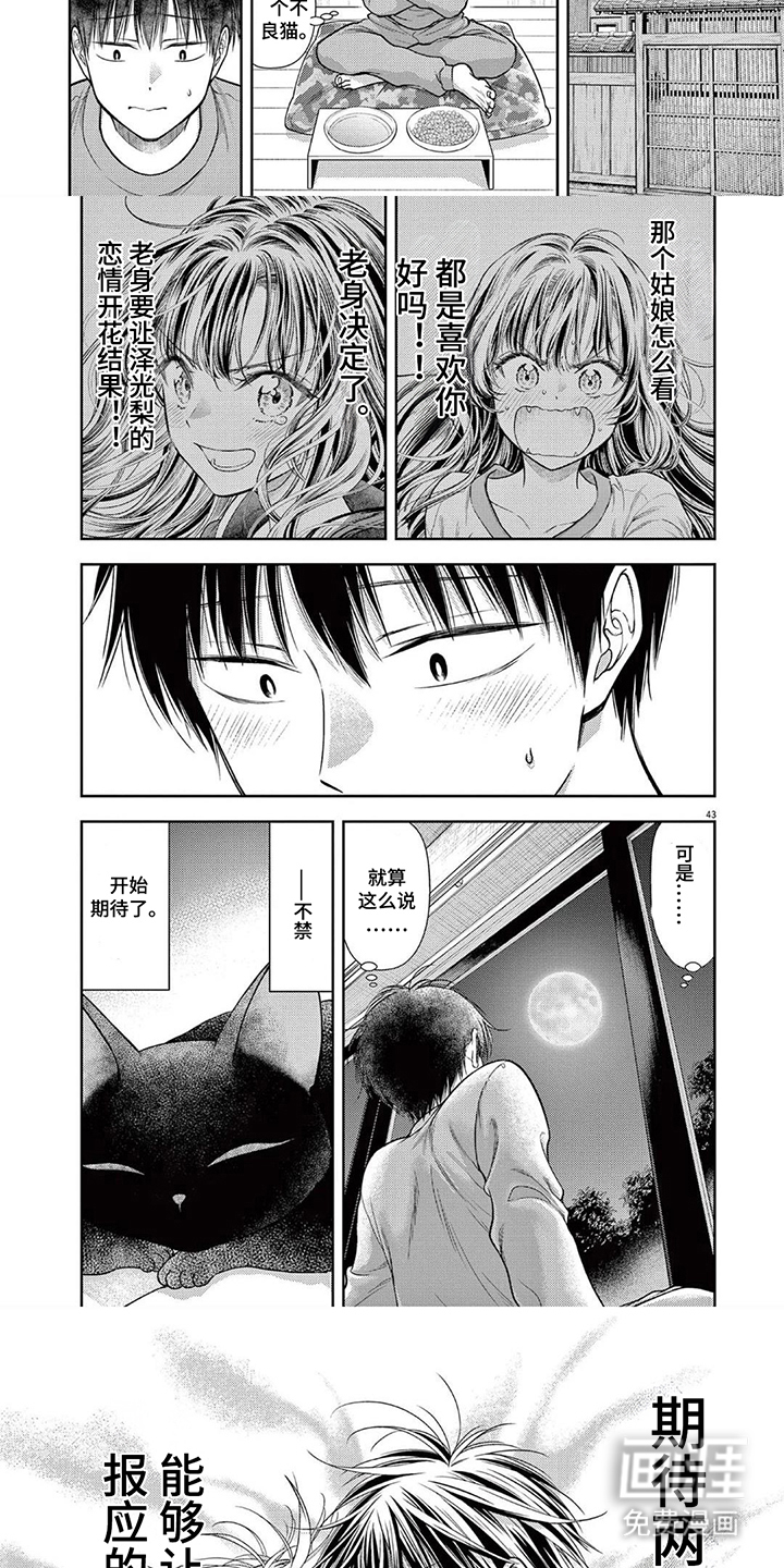 第11话：第11章：转学生预览分镜