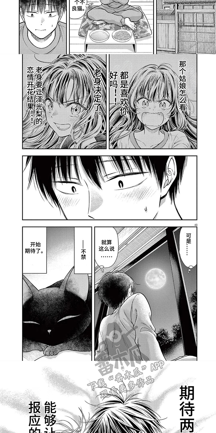 第11话：第11章：转学生预览分镜