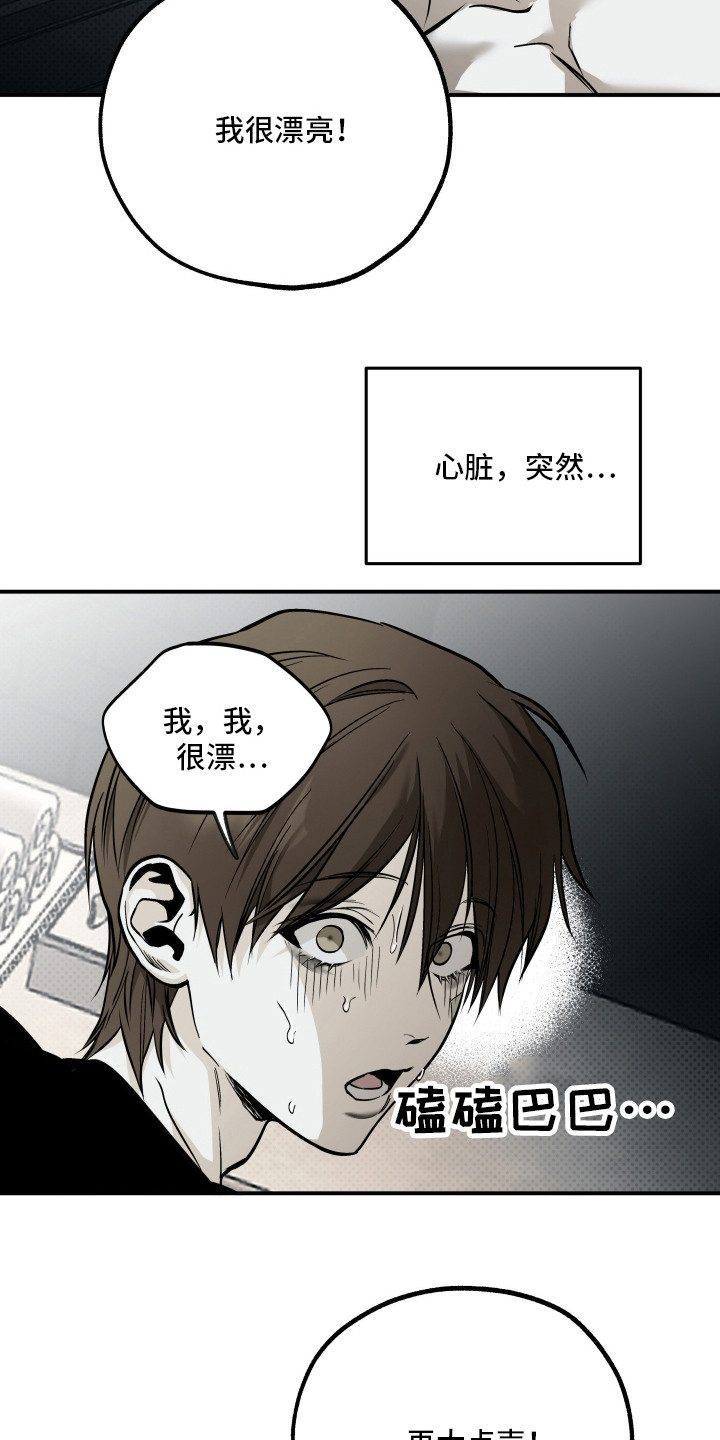 第17话：第17章：依旧美丽（完结）预览分镜