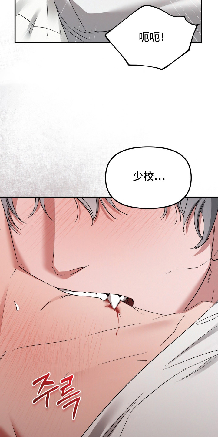 第11话：第11章：搜捕预览分镜