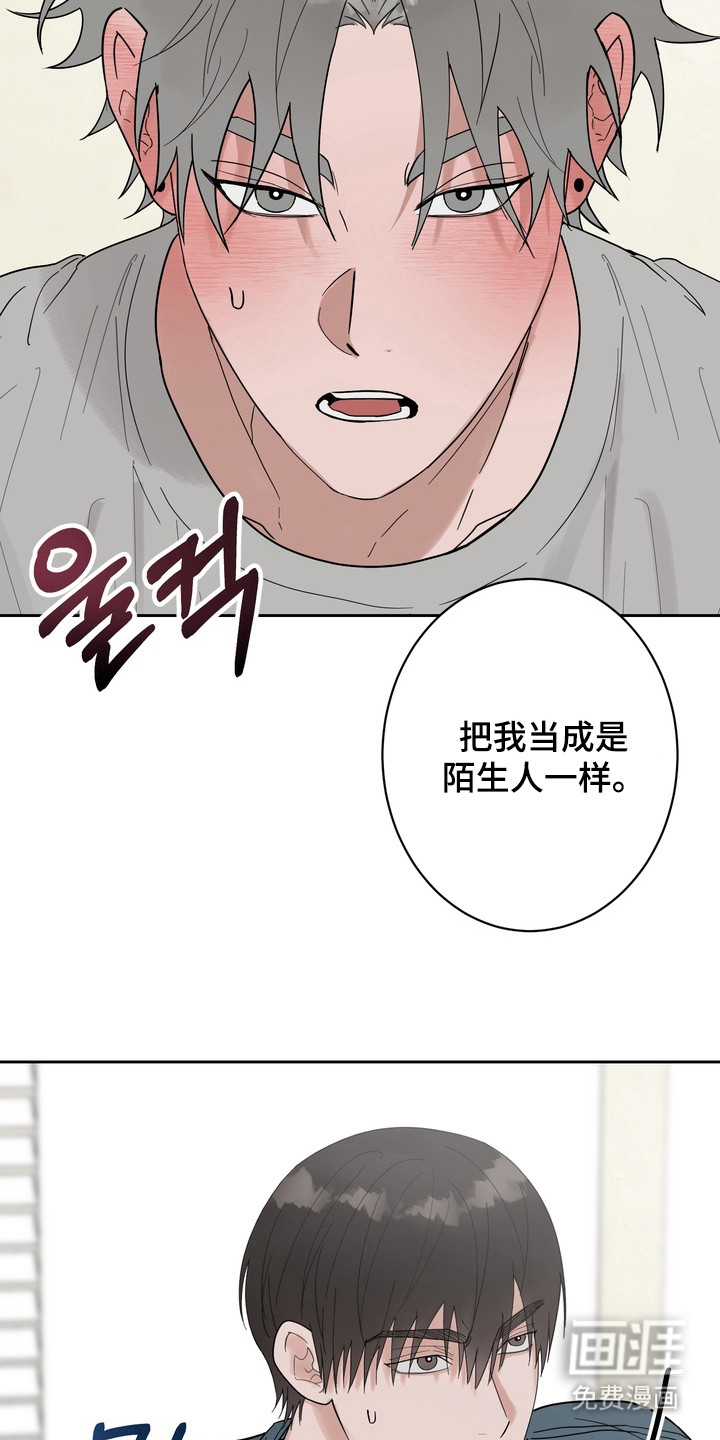 第15话：第15章：完美答案预览分镜