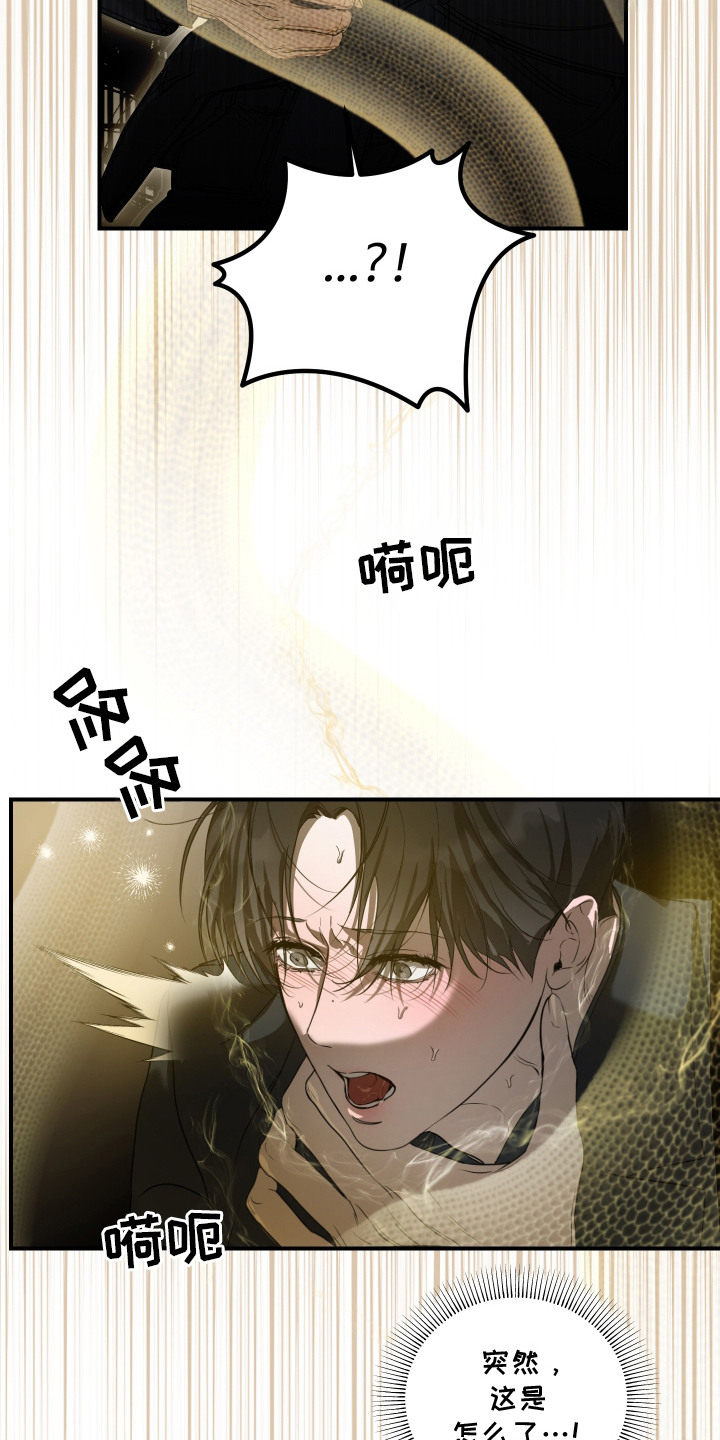 第5话：第5章：金色蟒蛇预览分镜