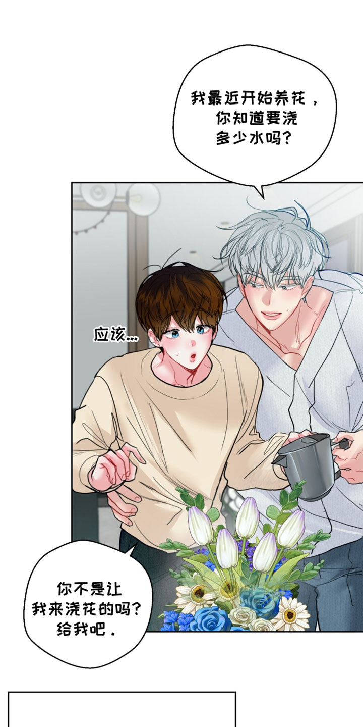 第17话：第17章：第三次约会预览分镜