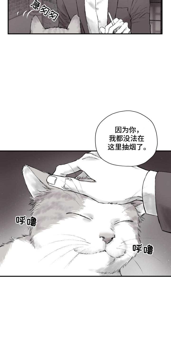 第3话：第3章：拜托你了预览分镜
