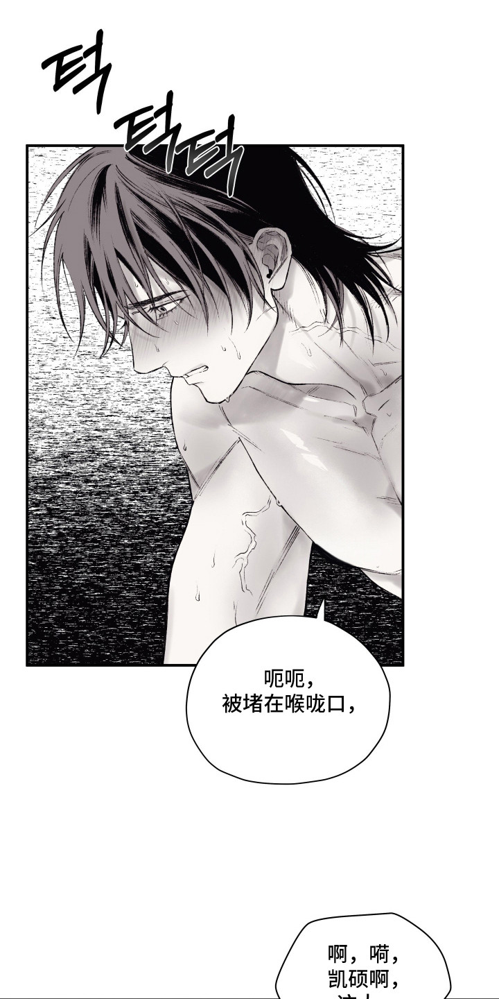 第15话：第15章：喜欢这样预览分镜