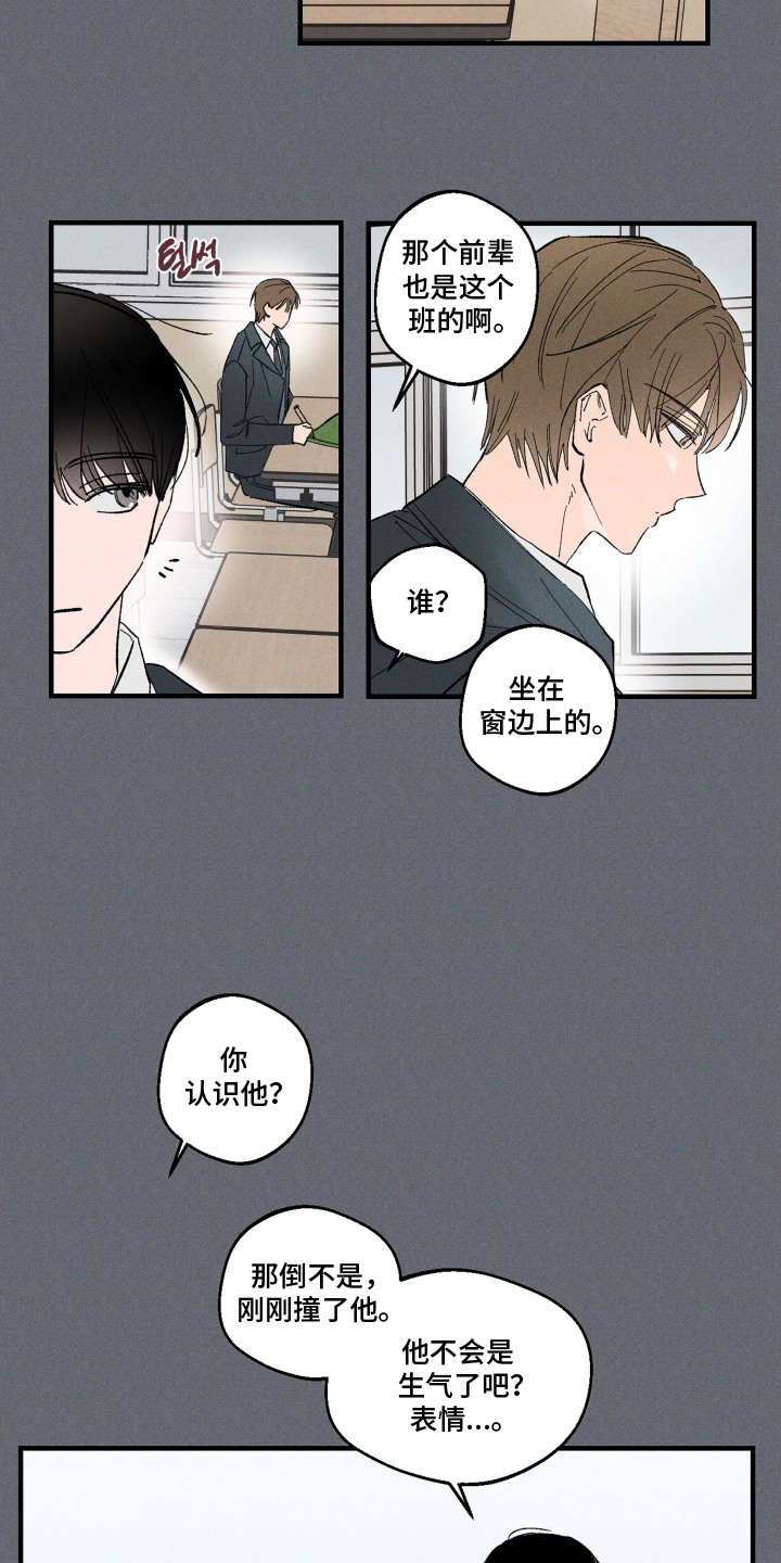 第13话：第13章：牵手（完结）预览分镜