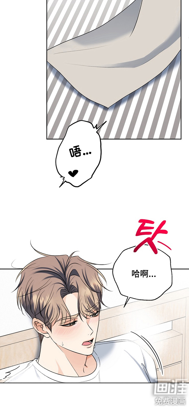 第10话：第10章：快点回家去预览分镜