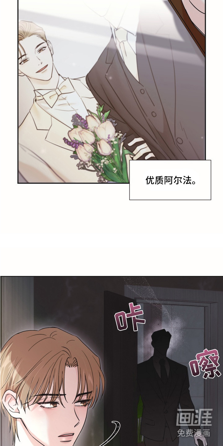 第1话：第1章：身体检查预览分镜