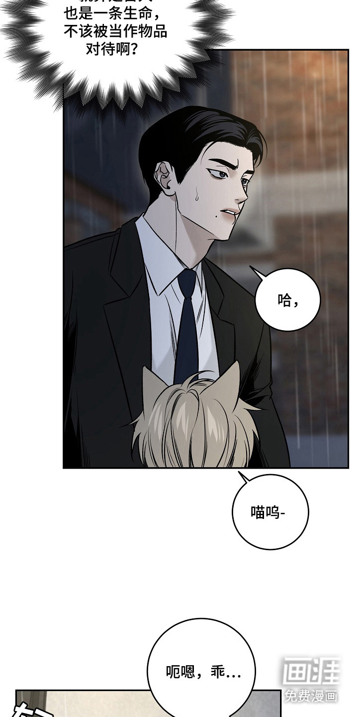第3话：第3章：收留预览分镜