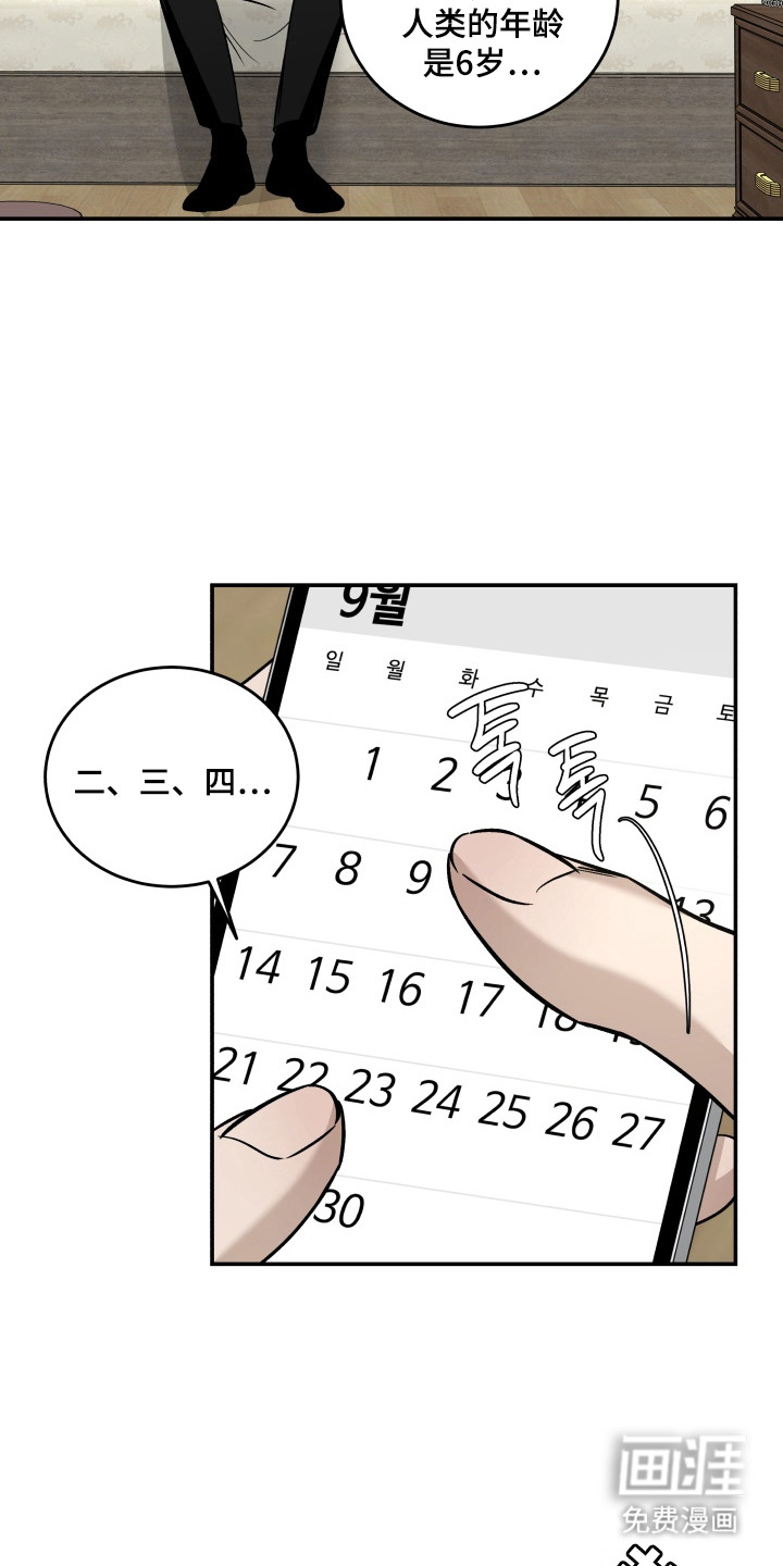 第9话：第9章：长大了预览分镜