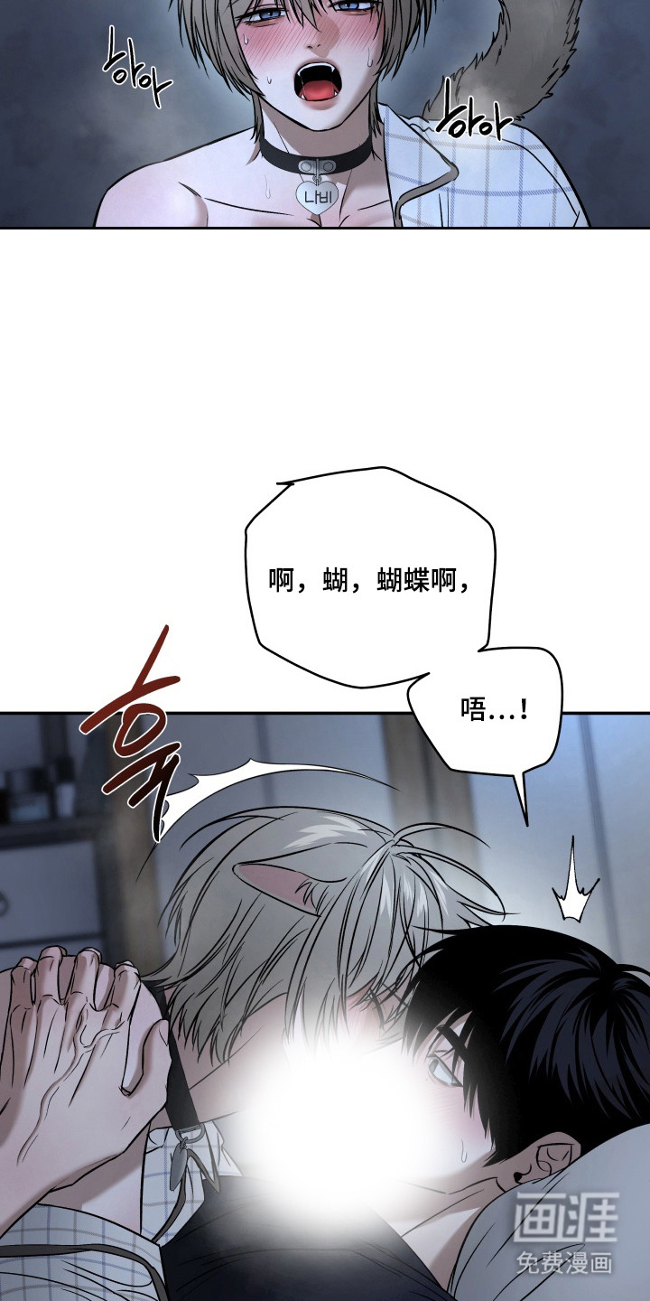 第11话：第11章：帮忙解决预览分镜
