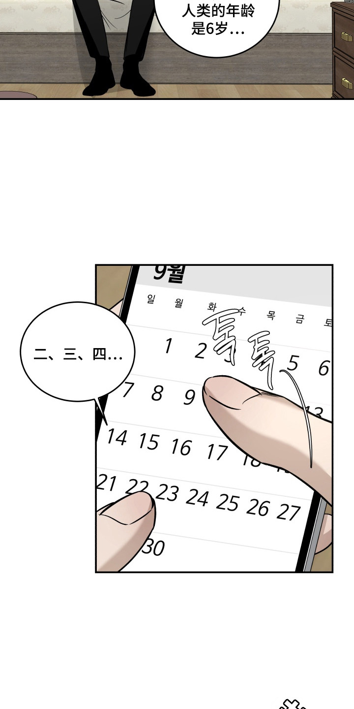 第9话：第9章：长大了预览分镜