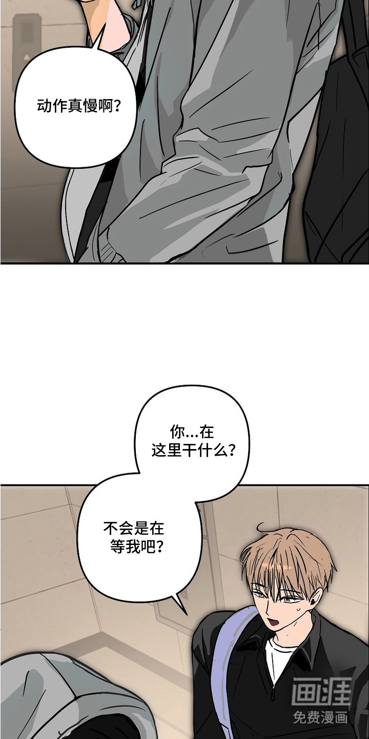 第12话：第12章：任性预览分镜