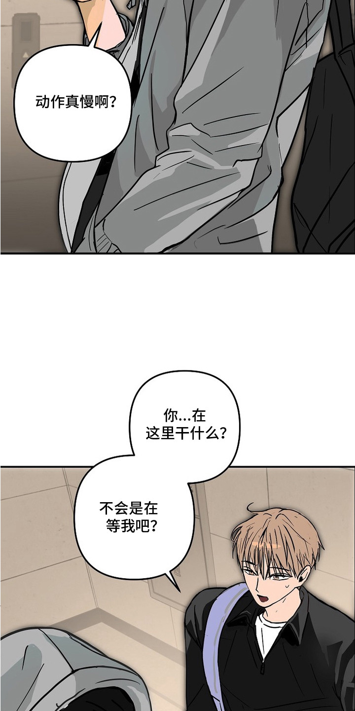 第13话：第13章：任性预览分镜