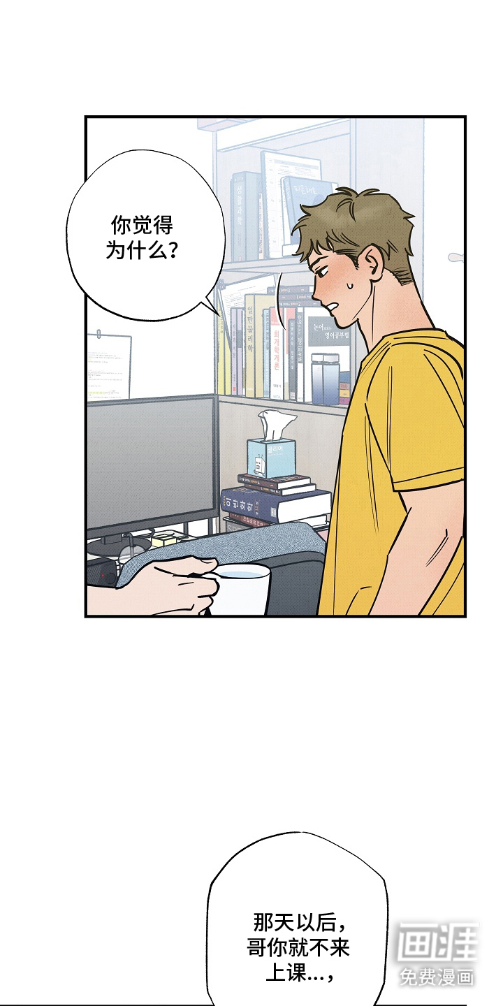 第13话：第13章：绿色帐篷预览分镜