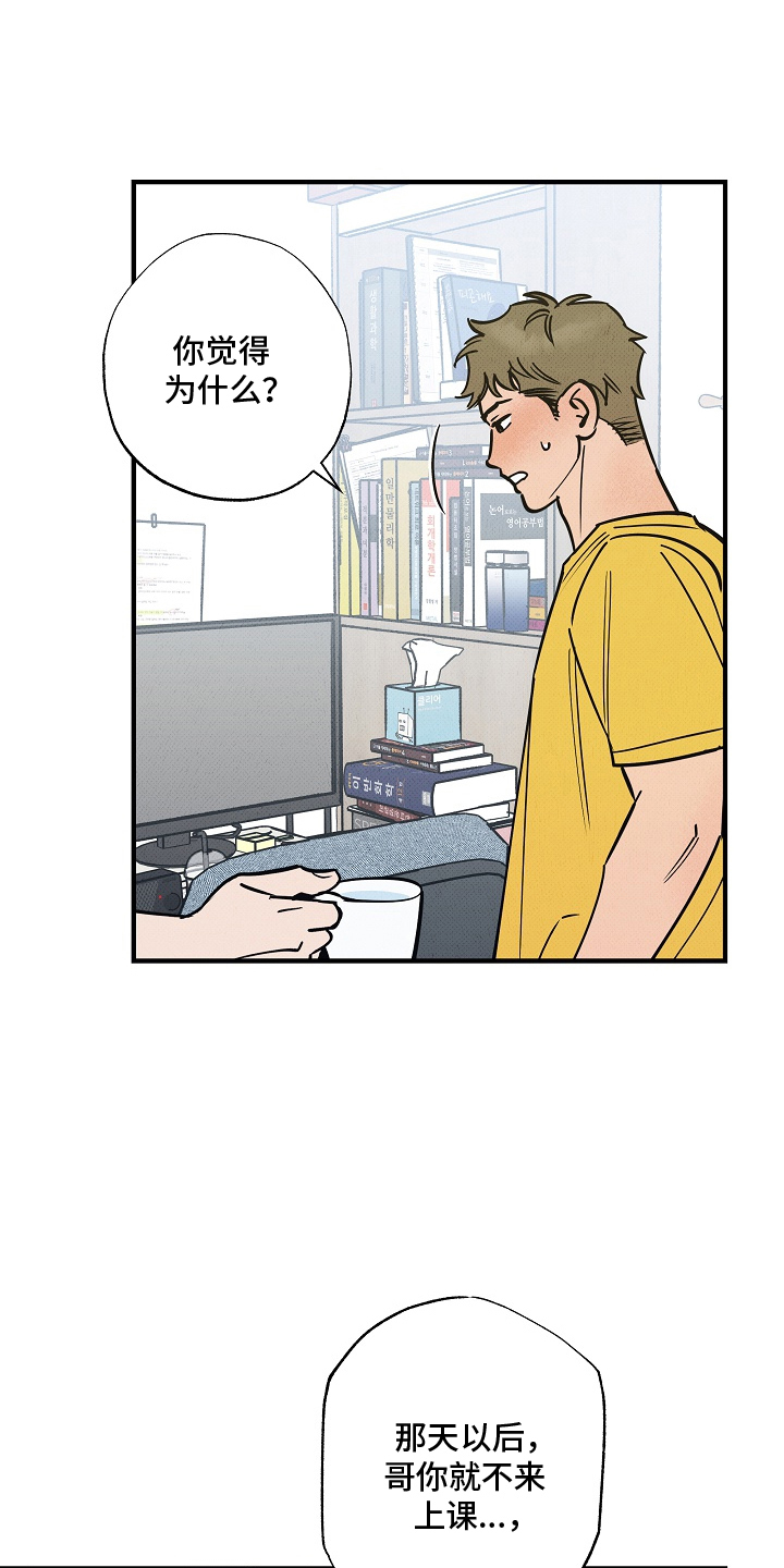 第13话：第13章：绿色帐篷预览分镜