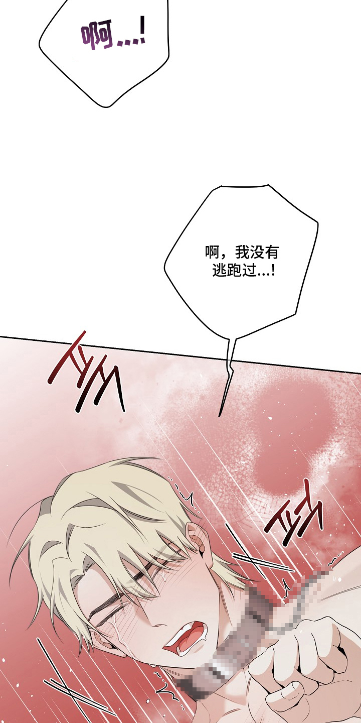 第11话：第11章：机会预览分镜