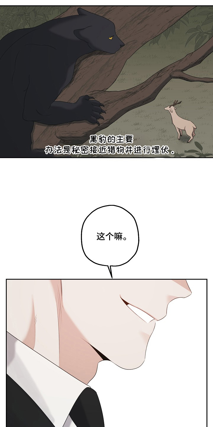 第13话：第13章：你选择的预览分镜