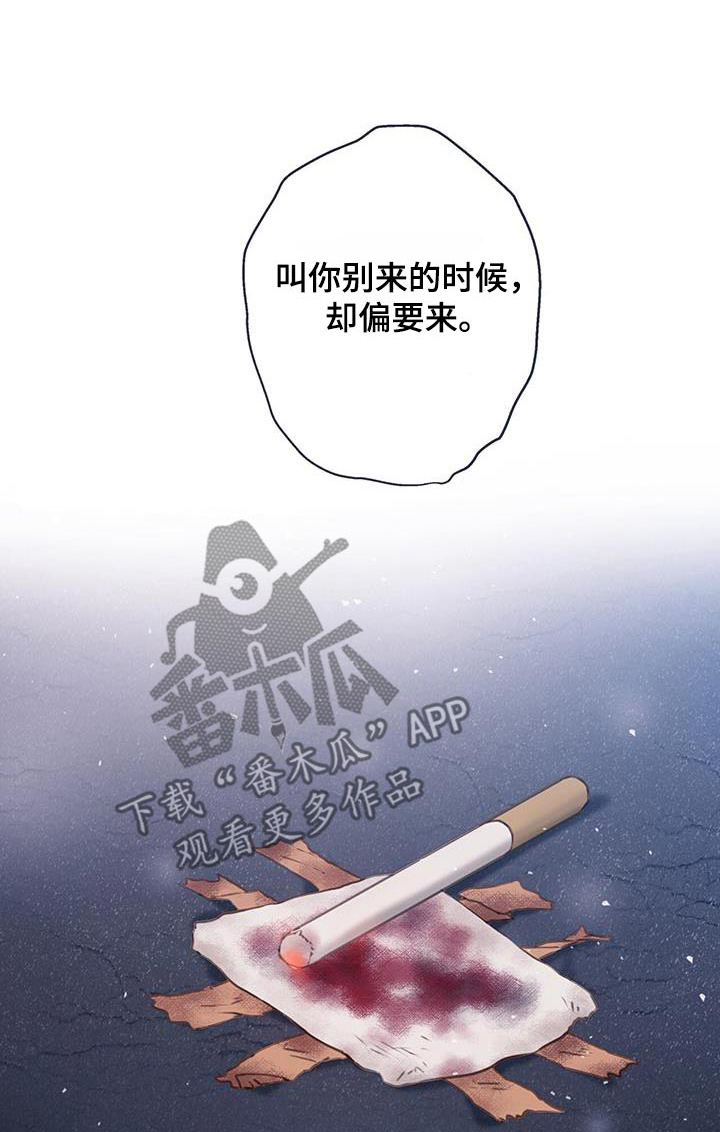 第54章：【番外】重逢