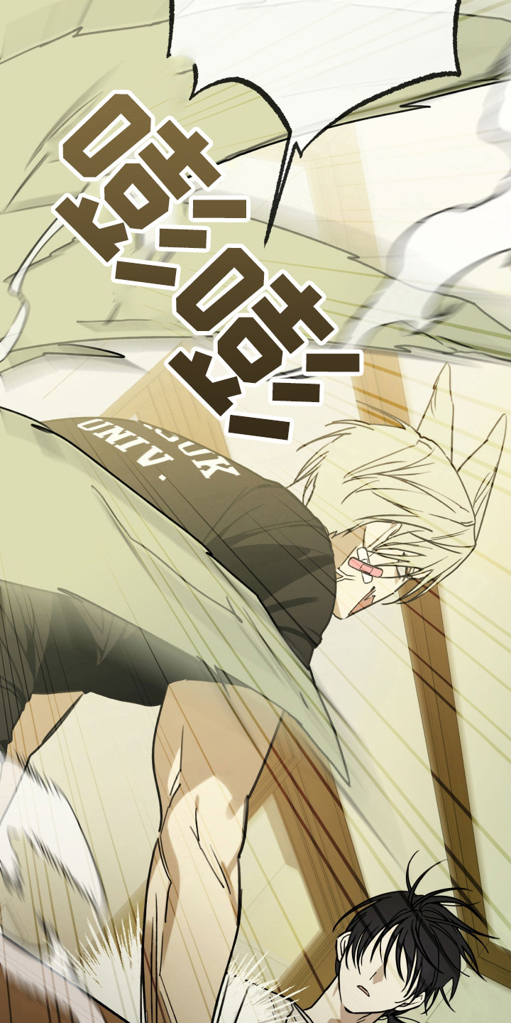 第11话：第11章：重新介绍预览分镜