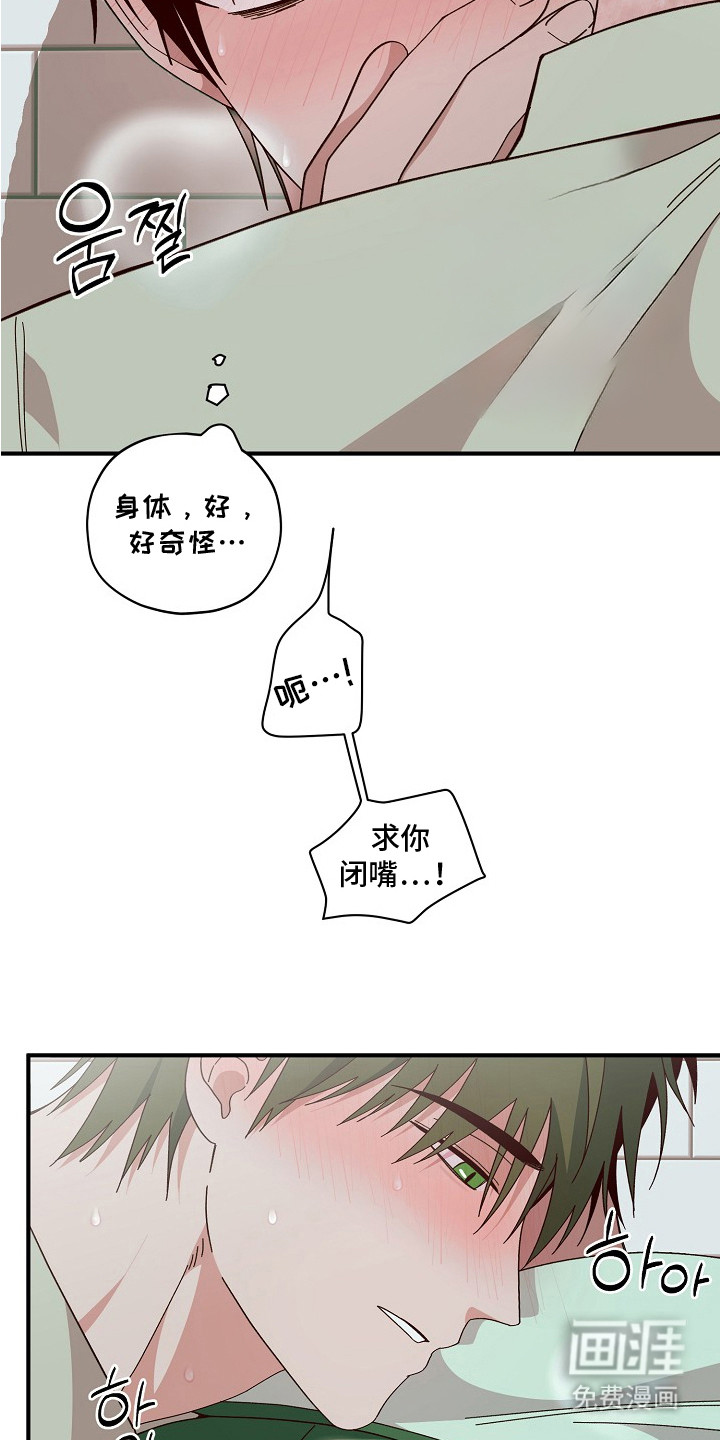 第6话：第6章：费用预览分镜