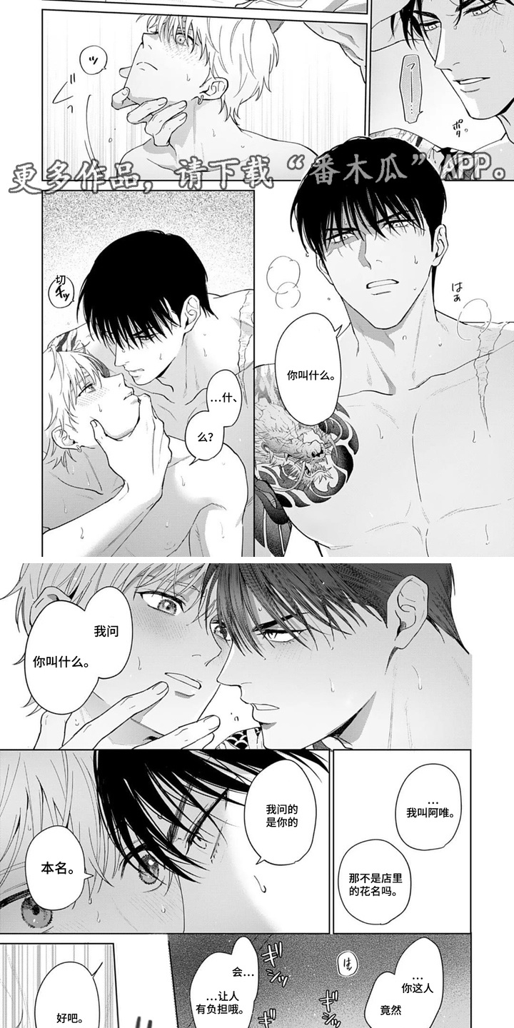 第7话：第7章：兴致预览分镜