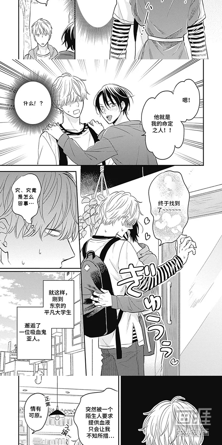 第2话：第2章：邂逅预览分镜