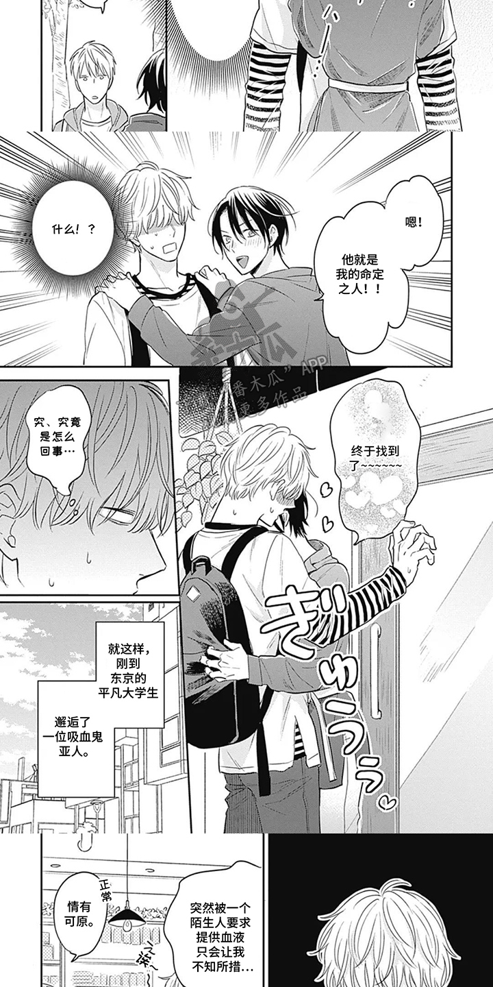 第2话：第2章：邂逅预览分镜