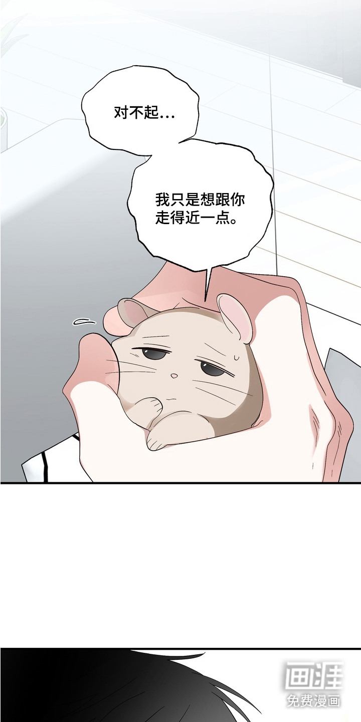 第7话：第7章：伤心预览分镜