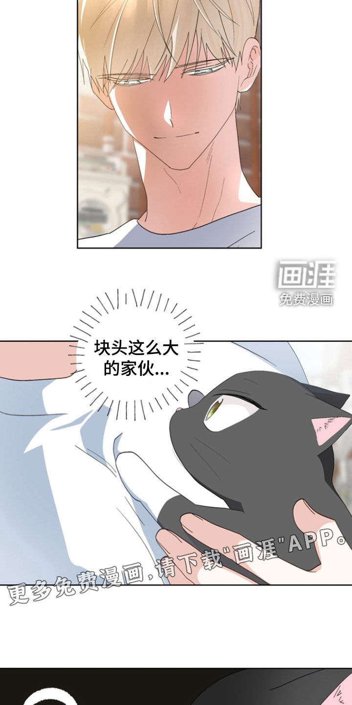 第15话：第15章：没有朋友预览分镜