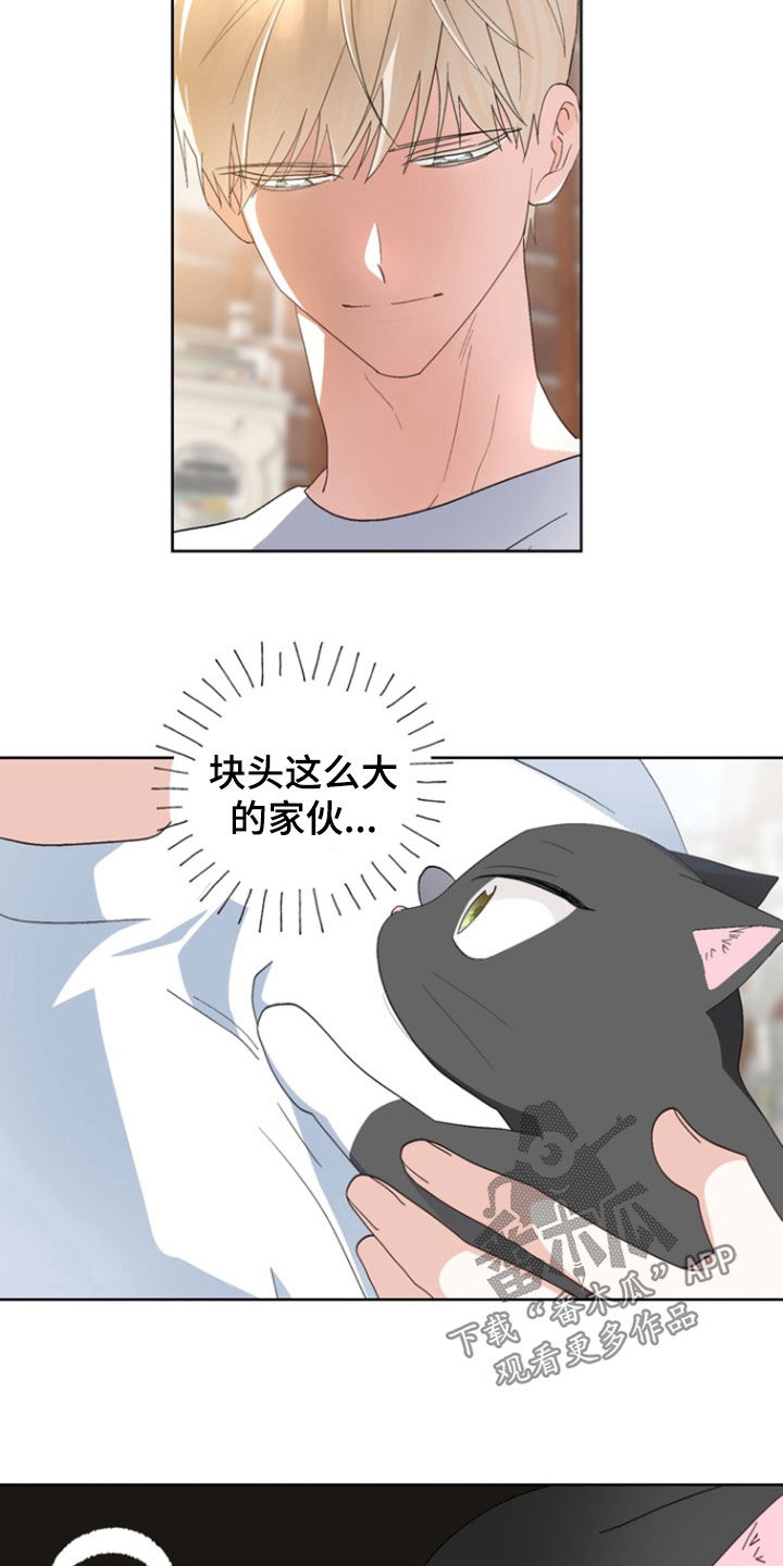 第15话：第15章：没有朋友预览分镜