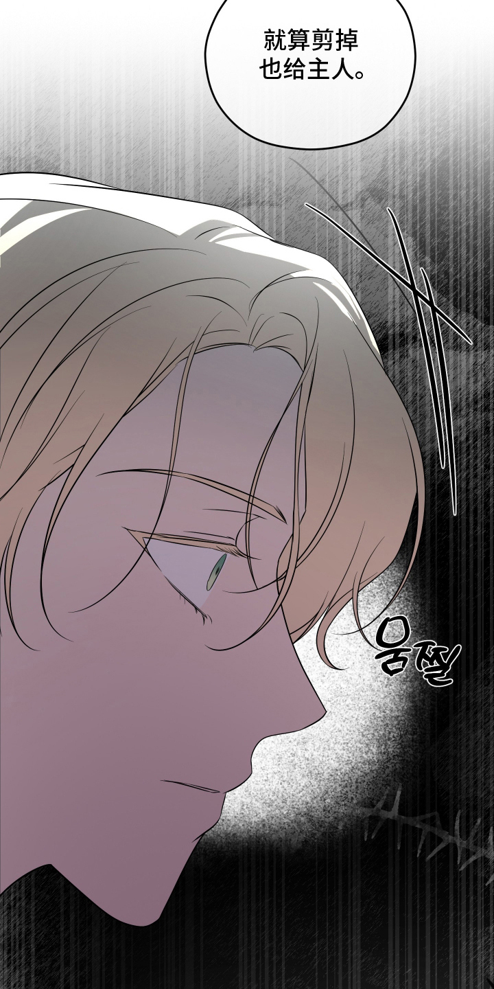 第11话：第11章：我的伴侣预览分镜