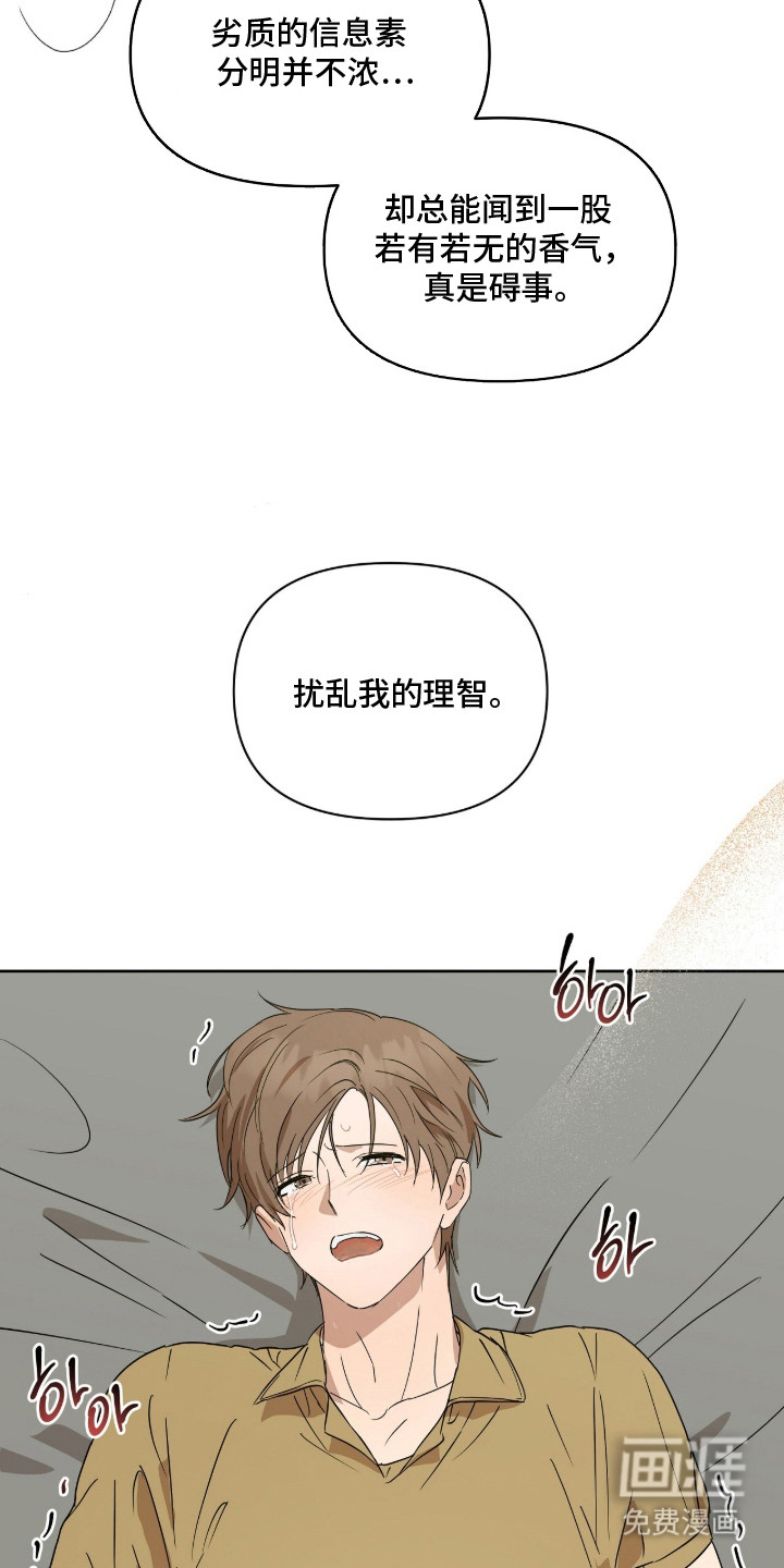 第11话：第11章：老样子预览分镜