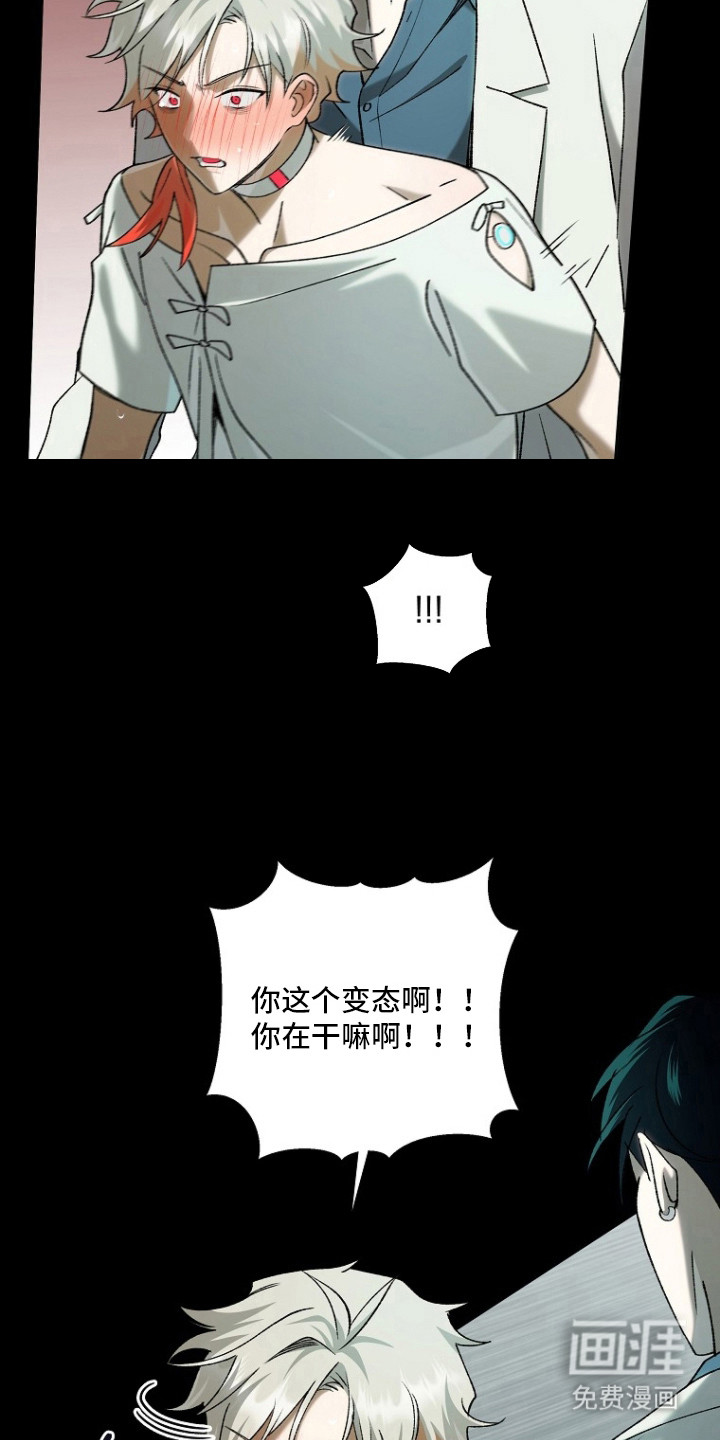 第4话：第4章：交给本能预览分镜