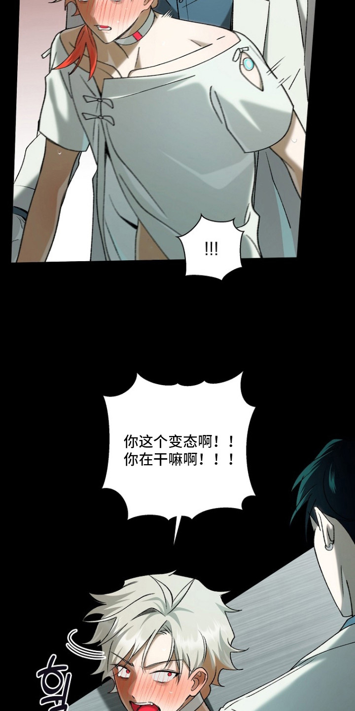 第4话：第4章：交给本能预览分镜