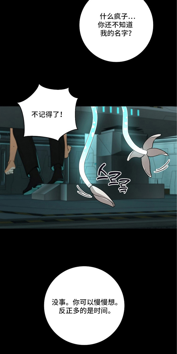 第7话：第7章：收集样本预览分镜