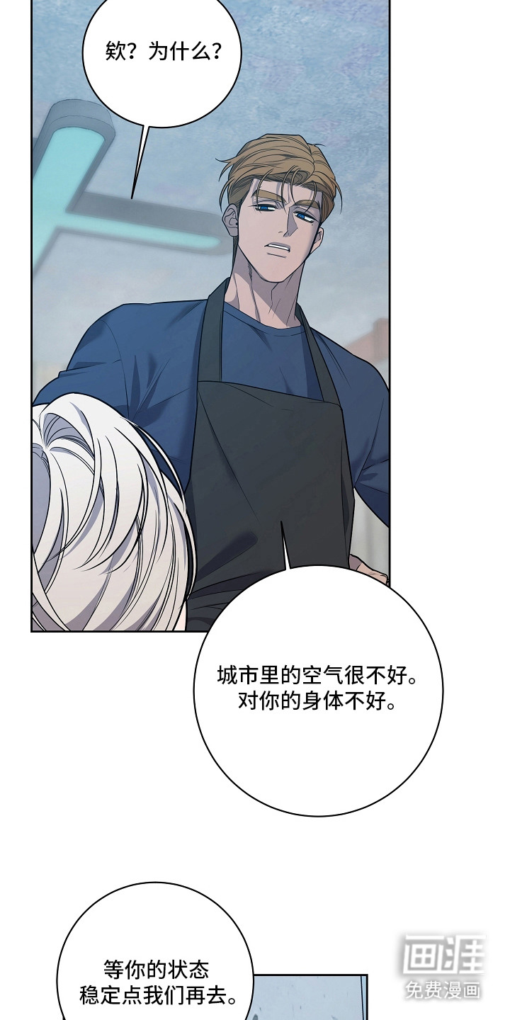 第17话：第17章：过度保护预览分镜