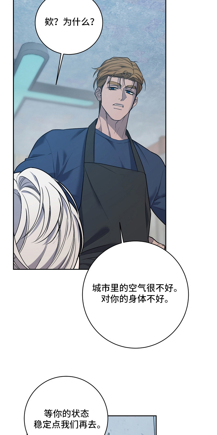 第18话：第18章：过度保护预览分镜