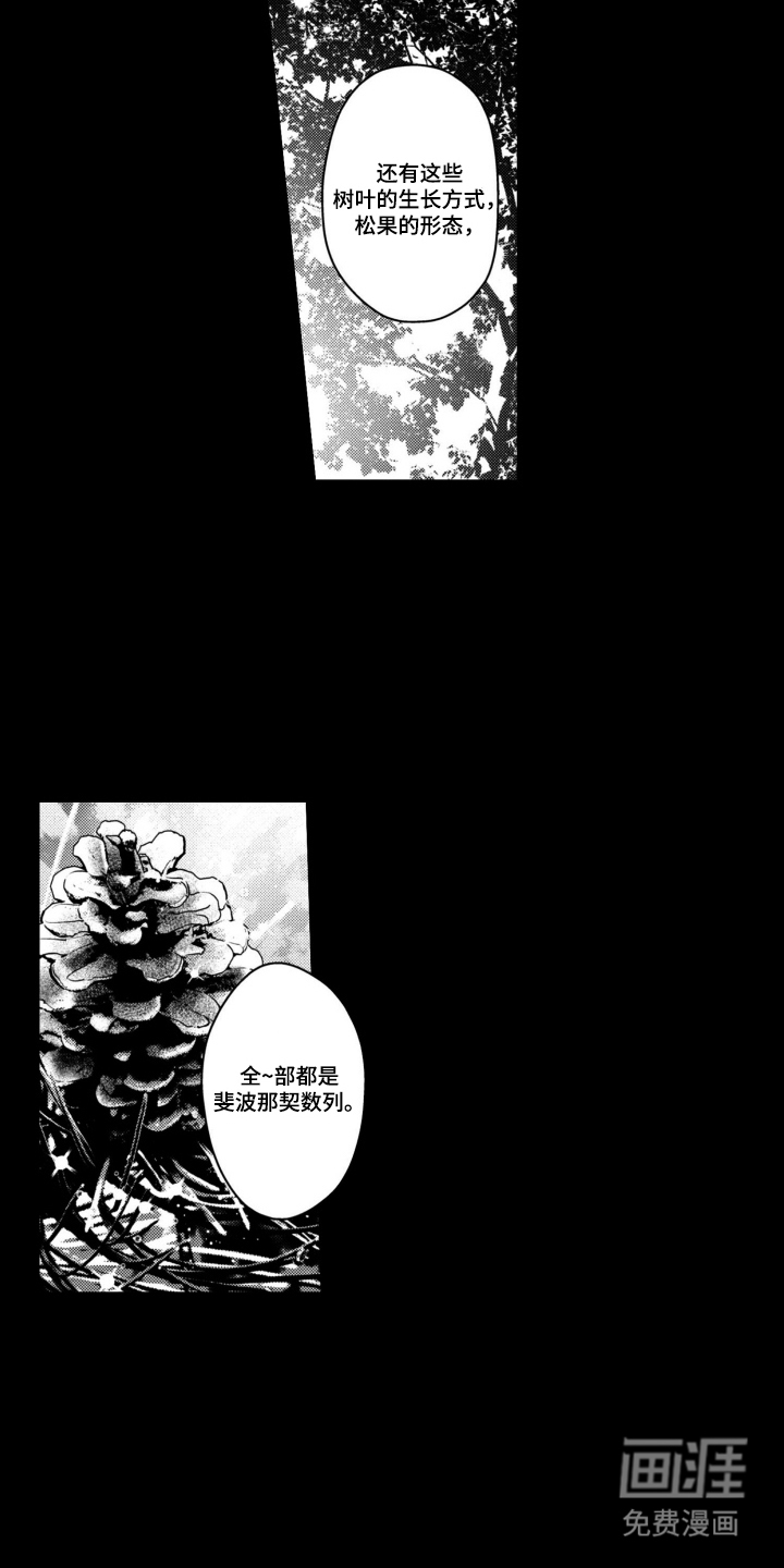 第7话：第7章：生命之数预览分镜
