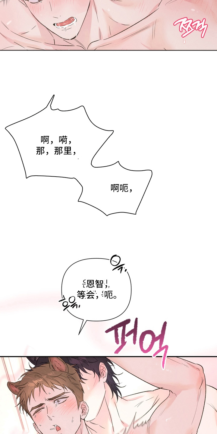 第9话：第9章：真可惜预览分镜