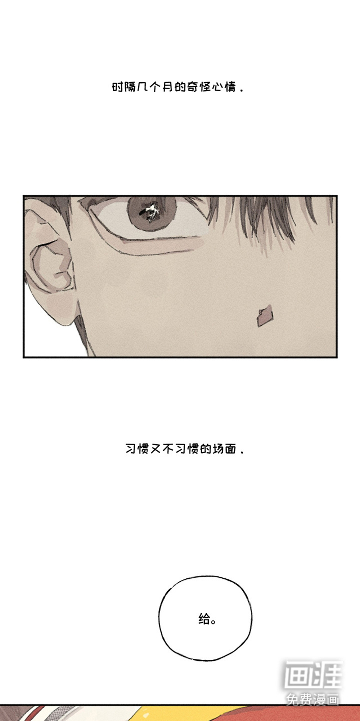 第9话：第9章：家常饭预览分镜