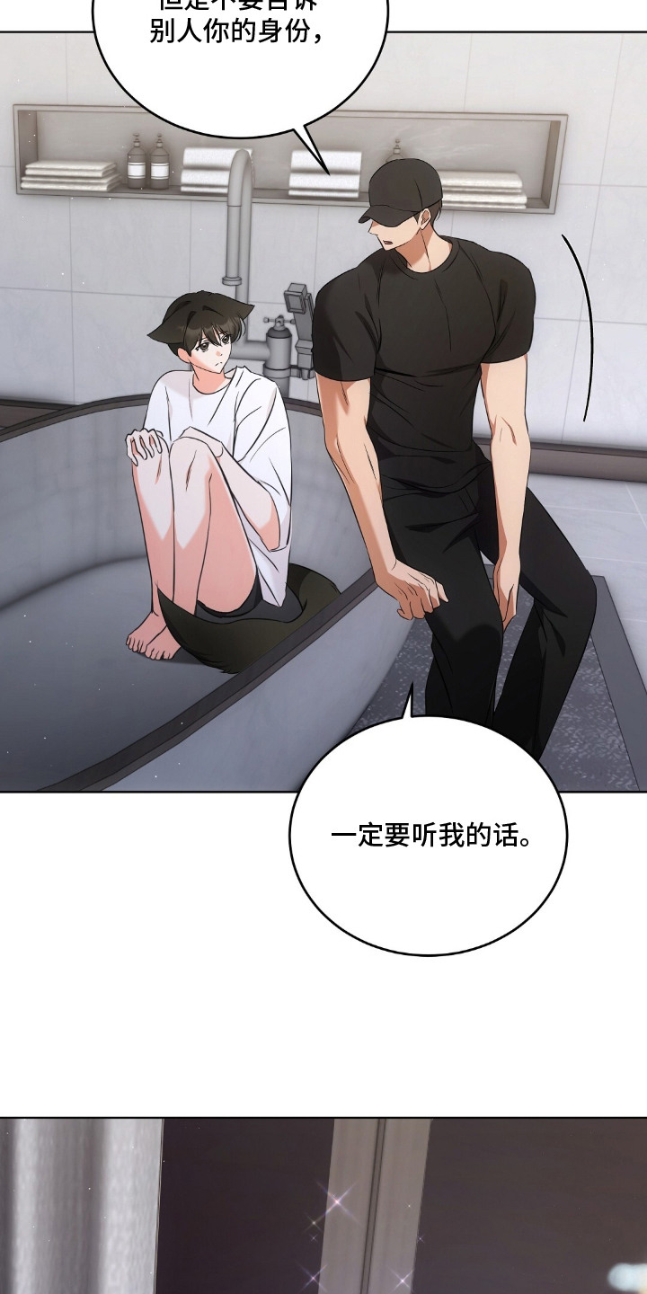 第15话：第15章：认真考虑预览分镜
