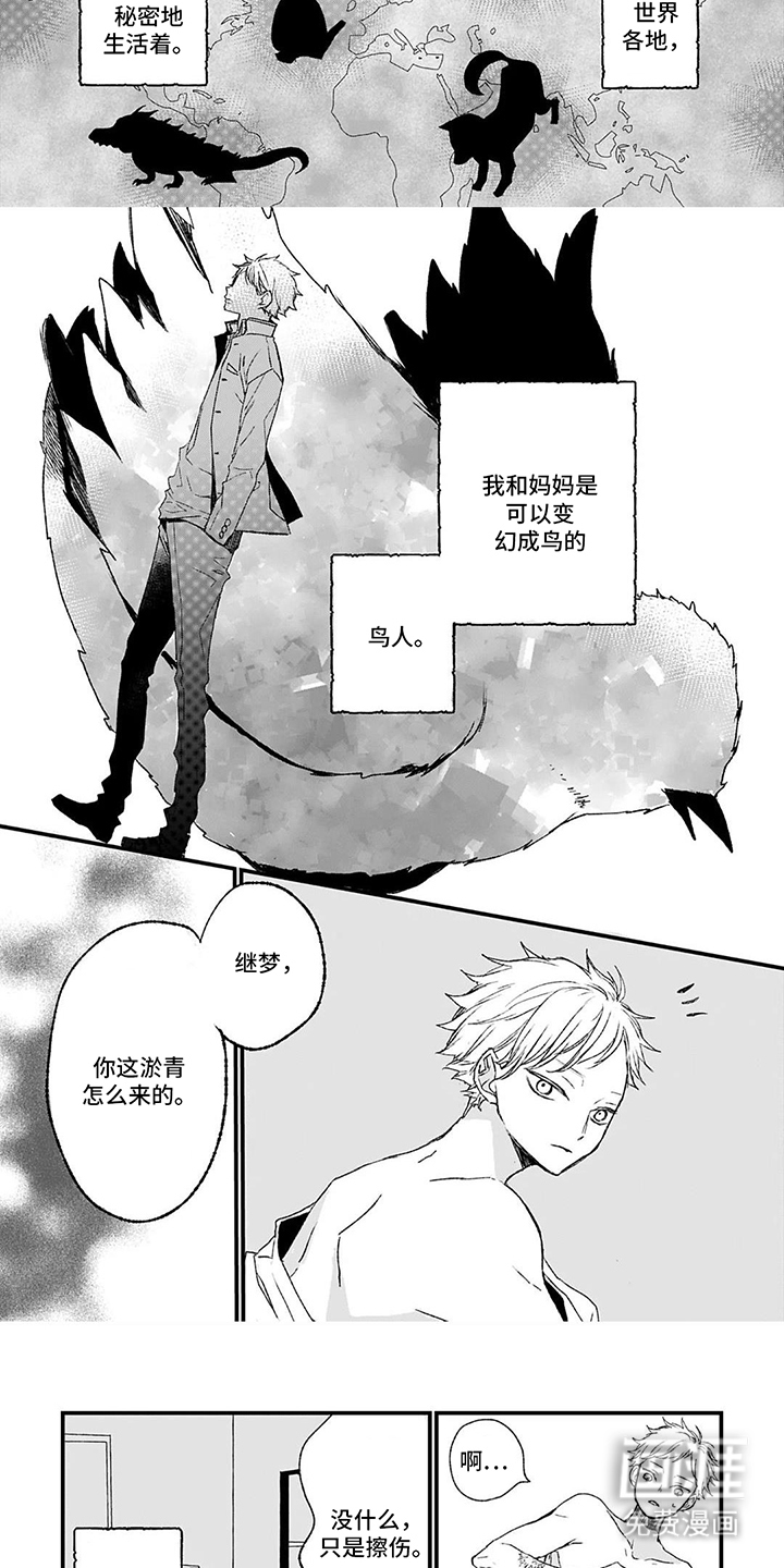 第2话：第2章：混鸟预览分镜
