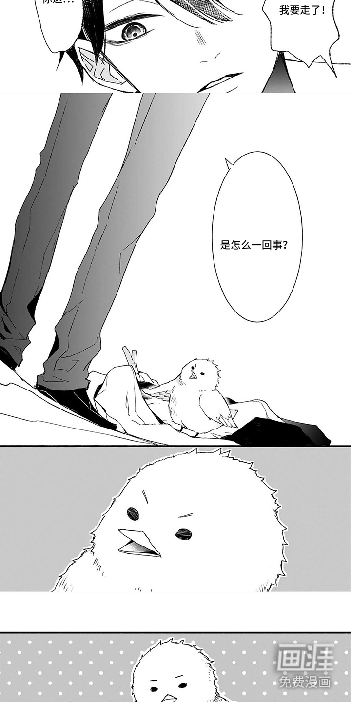 第3话：第3章：被发现预览分镜