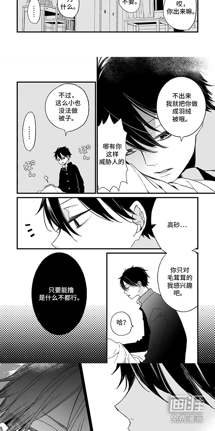 第7话：第7章：命中注定的单翼预览分镜